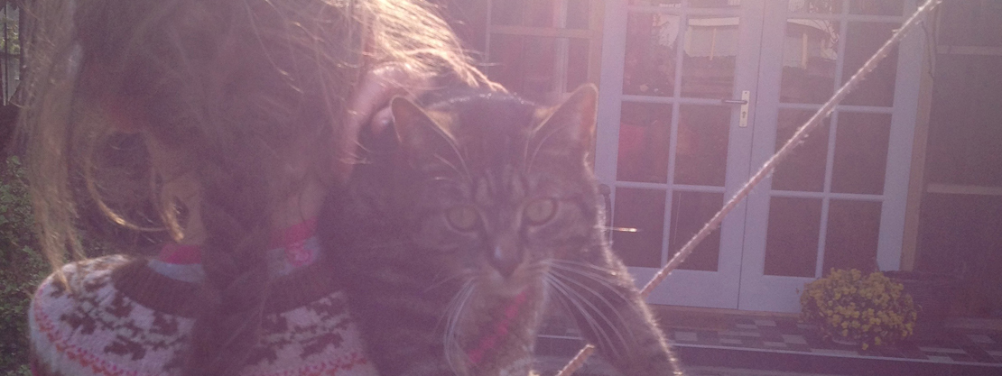 slider-1-metpoesenpaard1