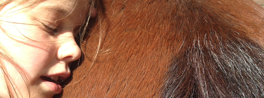 slider-3-metpoesenpaard1